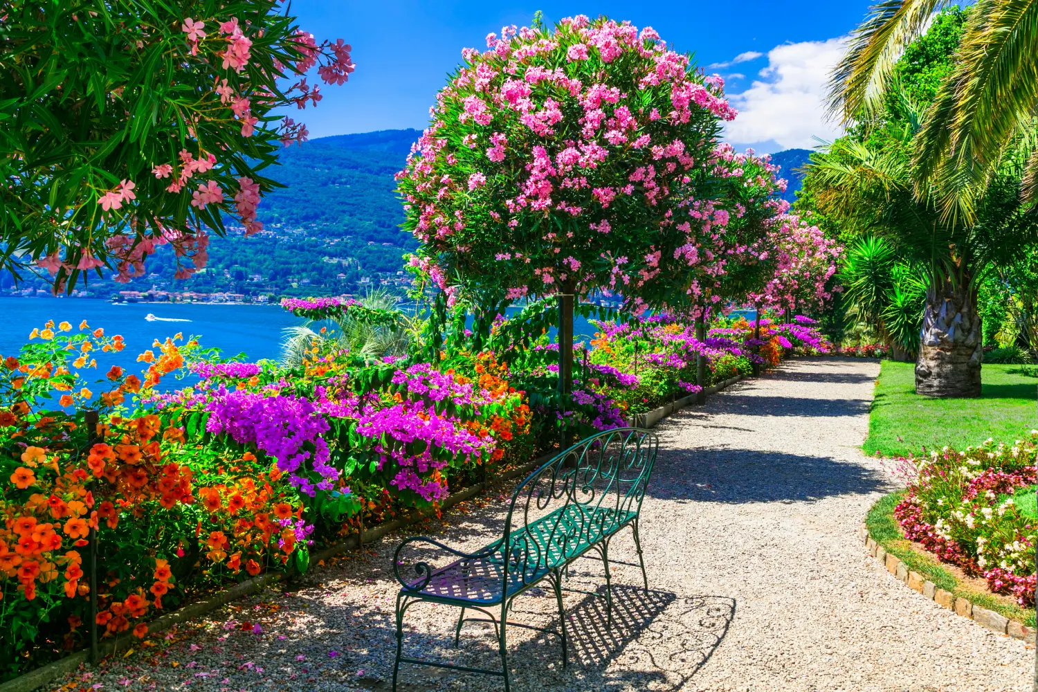 A bench in a colorful botanical garden overlooking at the blue sea