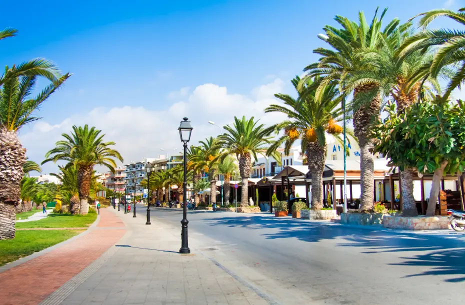Palm trees in Rethymno's promenade