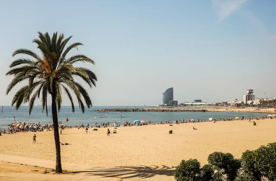 The long Barcelona Beach, next to Barcelona Center