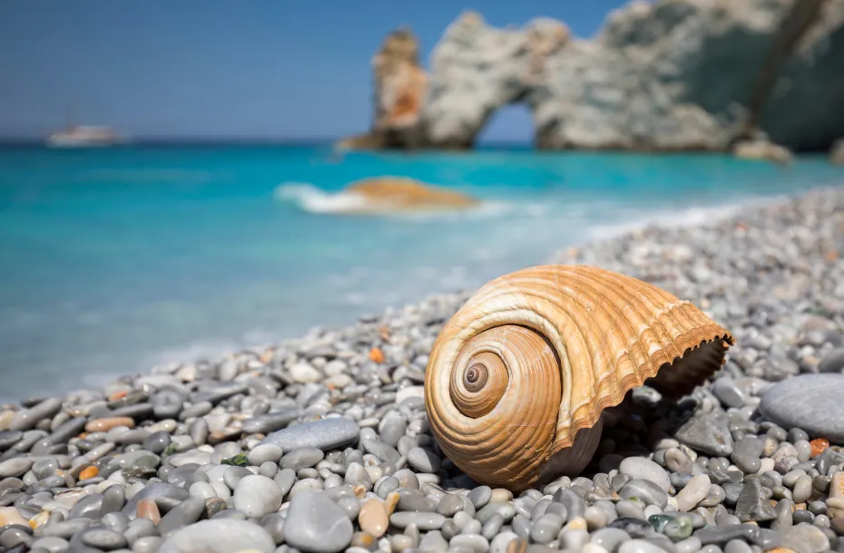 Giant sea shell at Lalaria Beach in Skiathos