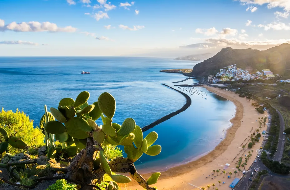 Aerial view of a stunning beach with color contrasts in the Canary Islands